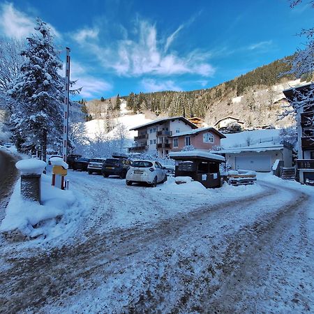 Apartment Peacock - Steinbock Lodges Zell am See Dış mekan fotoğraf