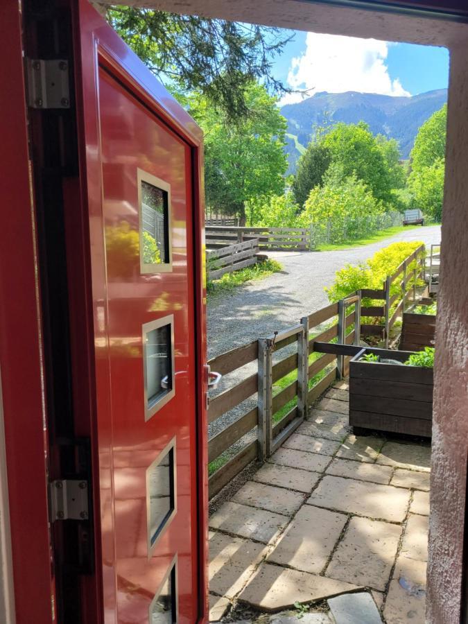Apartment Peacock - Steinbock Lodges Zell am See Dış mekan fotoğraf